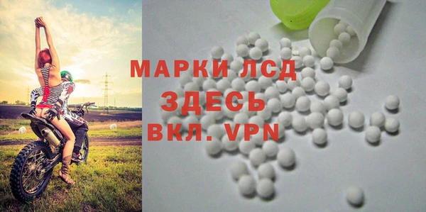 ГАЛЛЮЦИНОГЕННЫЕ ГРИБЫ Армянск