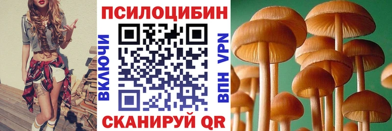 купить наркотики сайты  Усолье-Сибирское  Галлюциногенные грибы Magic Shrooms 
